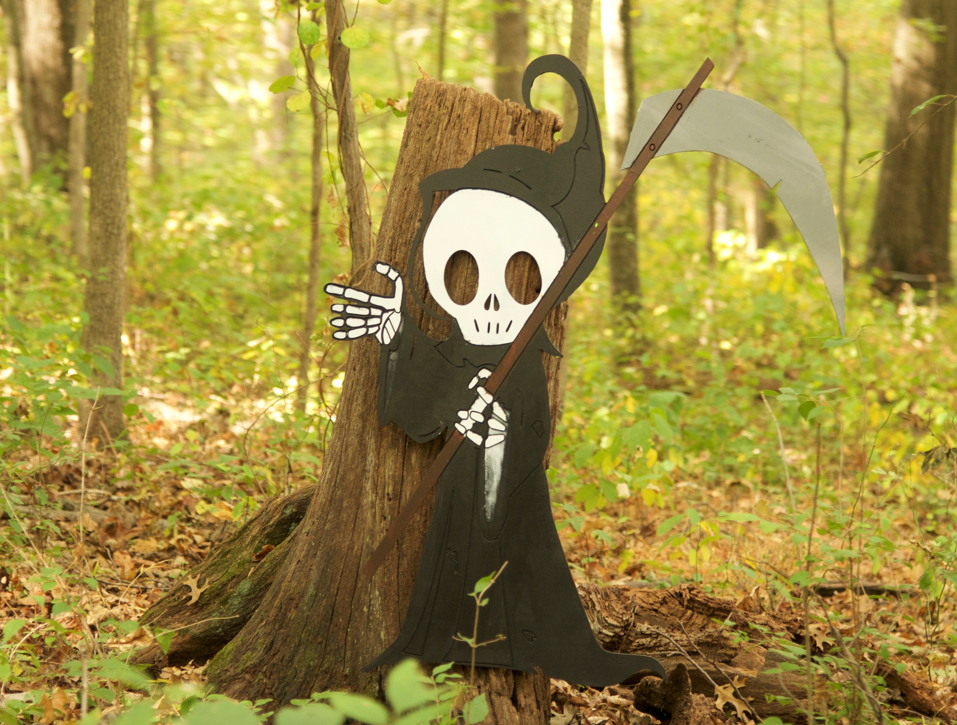 Montgomery Parks Volunteer